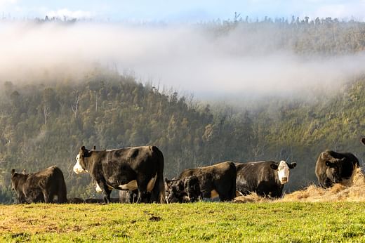 Our property services