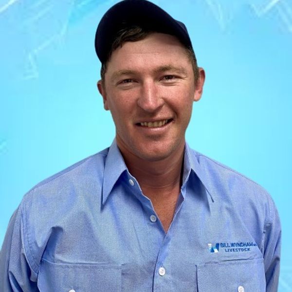 Mick O'Callaghan