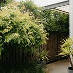 Geelong Real Estate: Whitford Property News 16th July 2026