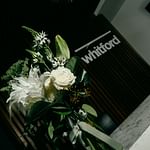 Geelong Real Estate: Whitford Property News 8th October 2026