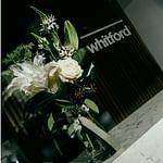 Geelong Real Estate: Whitford Property News 9th July 2026