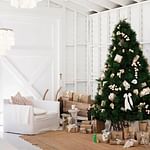 Geelong Real Estate: Whitford Property News – 16th October 2025